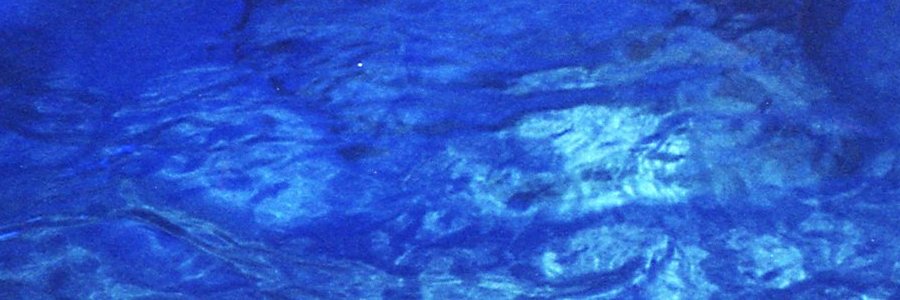 Dominic jones banner