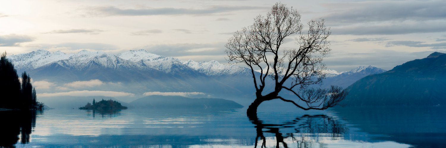 Bruce D. Comeau banner