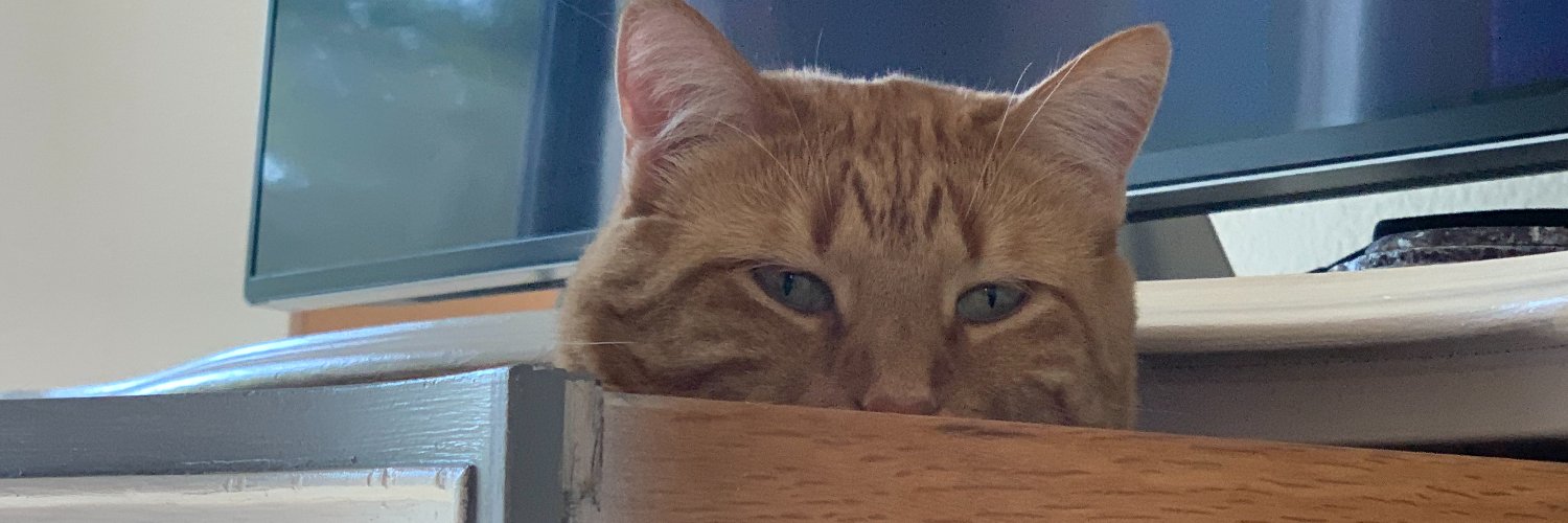 3Cat_Queen's profile banner image