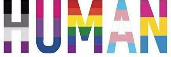 huf_man's profile banner image
