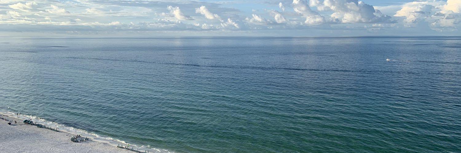 shandanickson's profile banner image