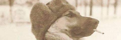 merokralj's profile banner image
