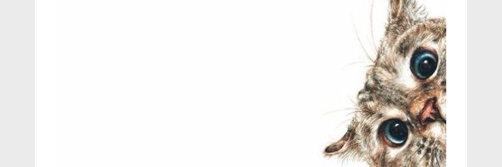 a_manda_ah's profile banner image