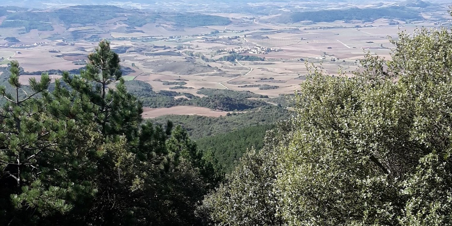 andoaro's profile banner image