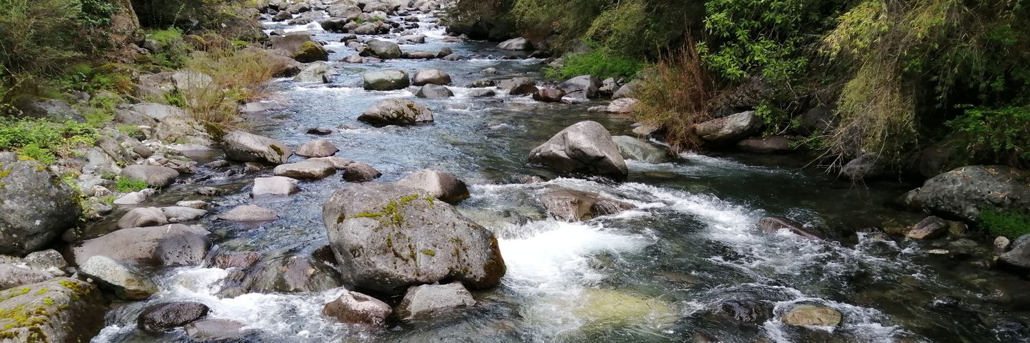 Ricardo Torres banner