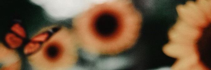 PasyLatorre's profile banner image