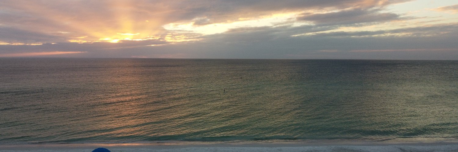 ZoePhotos's profile banner image