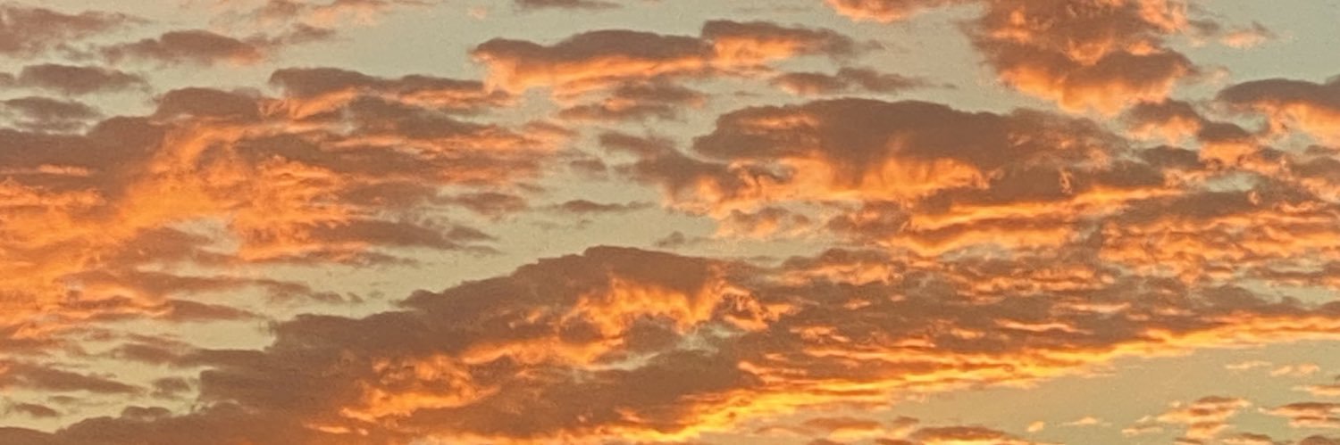 haleyfoster928's profile banner image