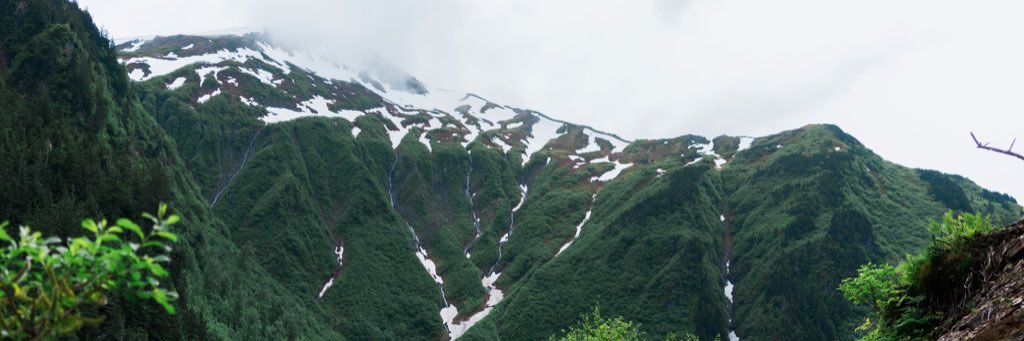 jloscher's profile banner image