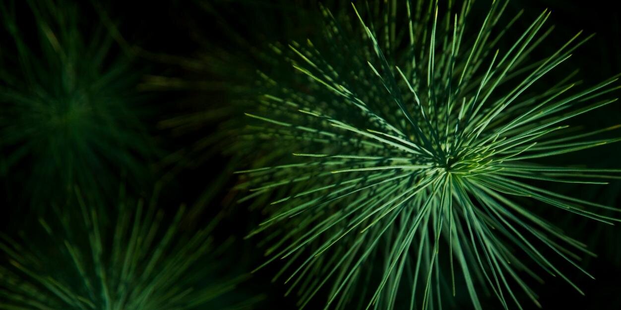 IxxiCosmetics's profile banner image