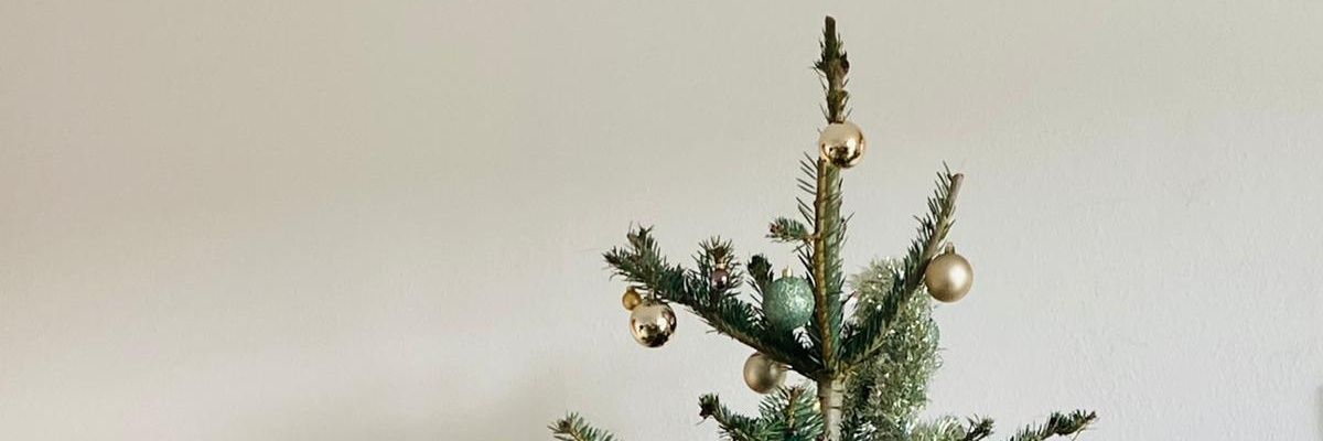 borisdeles's profile banner image