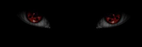 diramein's profile banner image