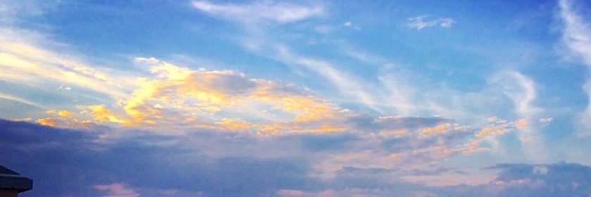MariaNavarro_C's profile banner image