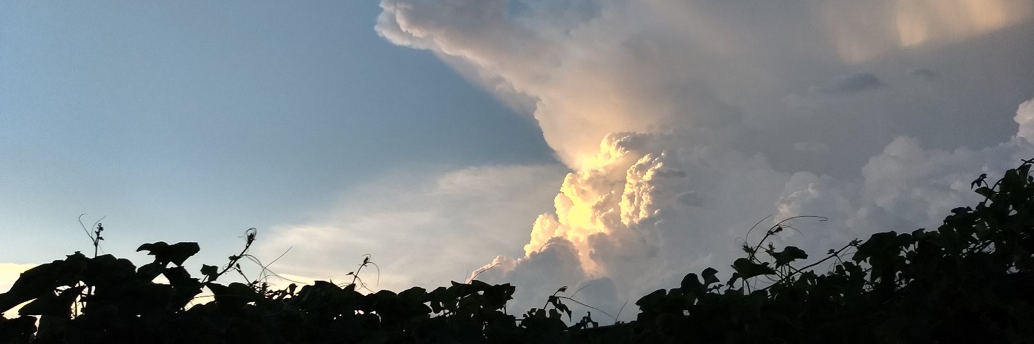 Yano_'s profile banner image