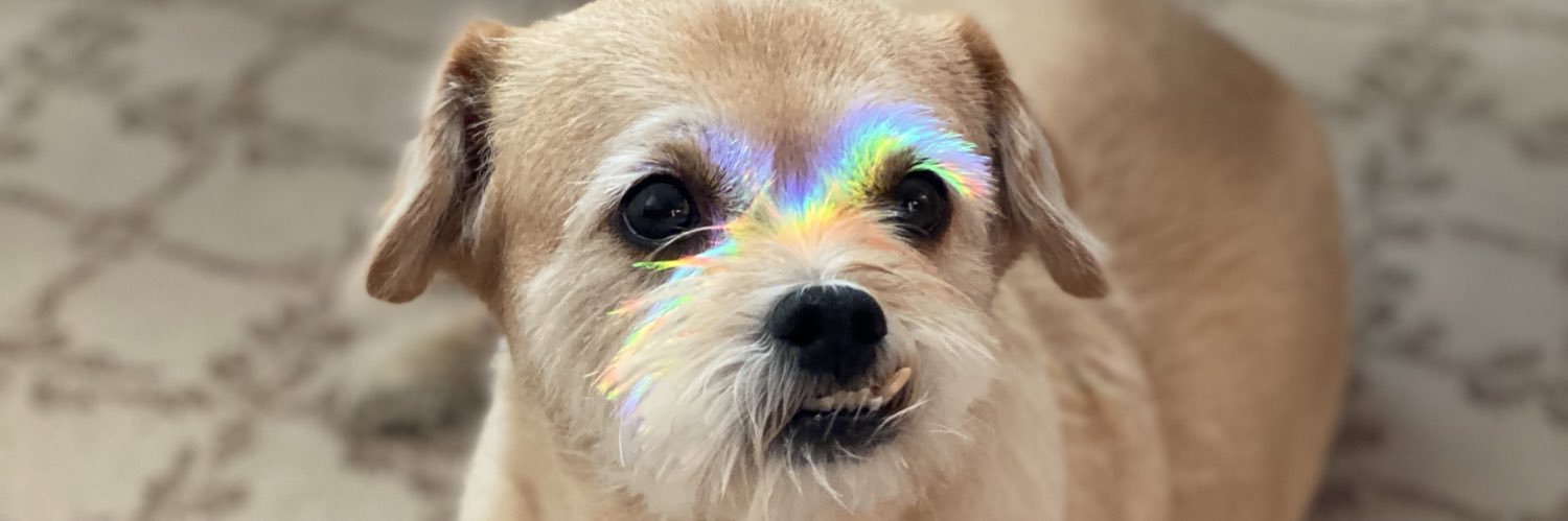 Holfwailey's profile banner image