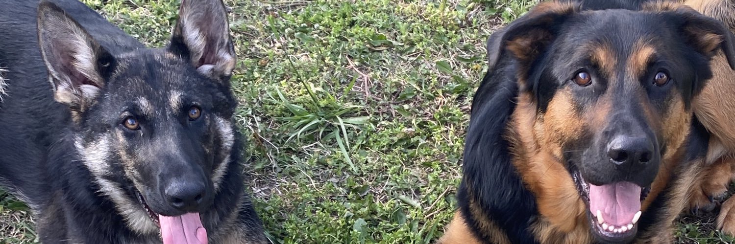 tink1075's profile banner image