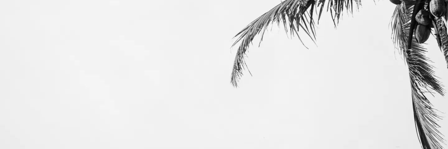 isafernandezmon's profile banner image