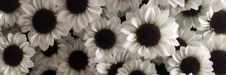 flwrlvrr_c's profile banner image