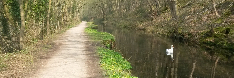 Rushcliffe_AN's profile banner image