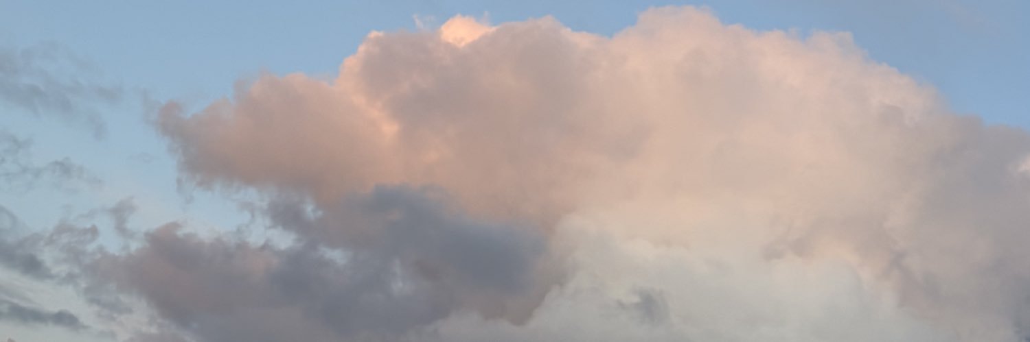 roro dkz banner