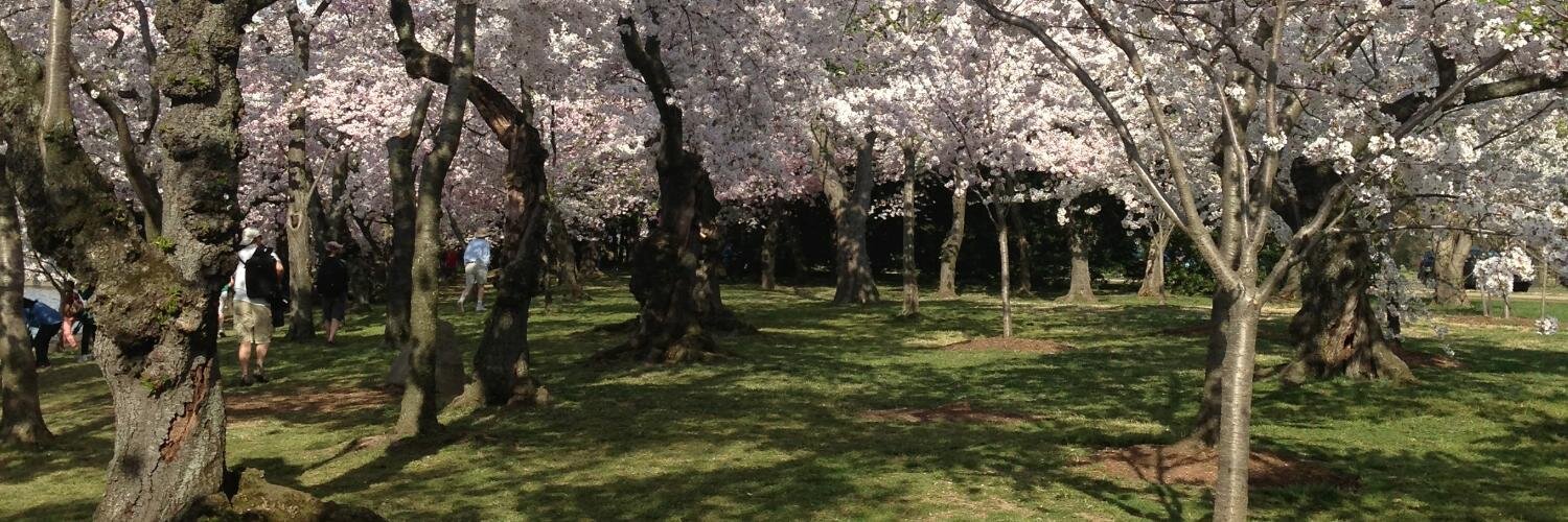 Shahed Amanullah banner