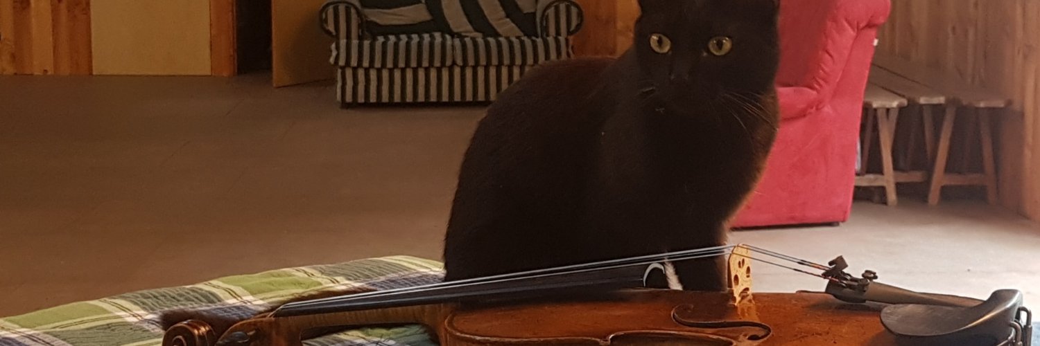 Erialke's profile banner image