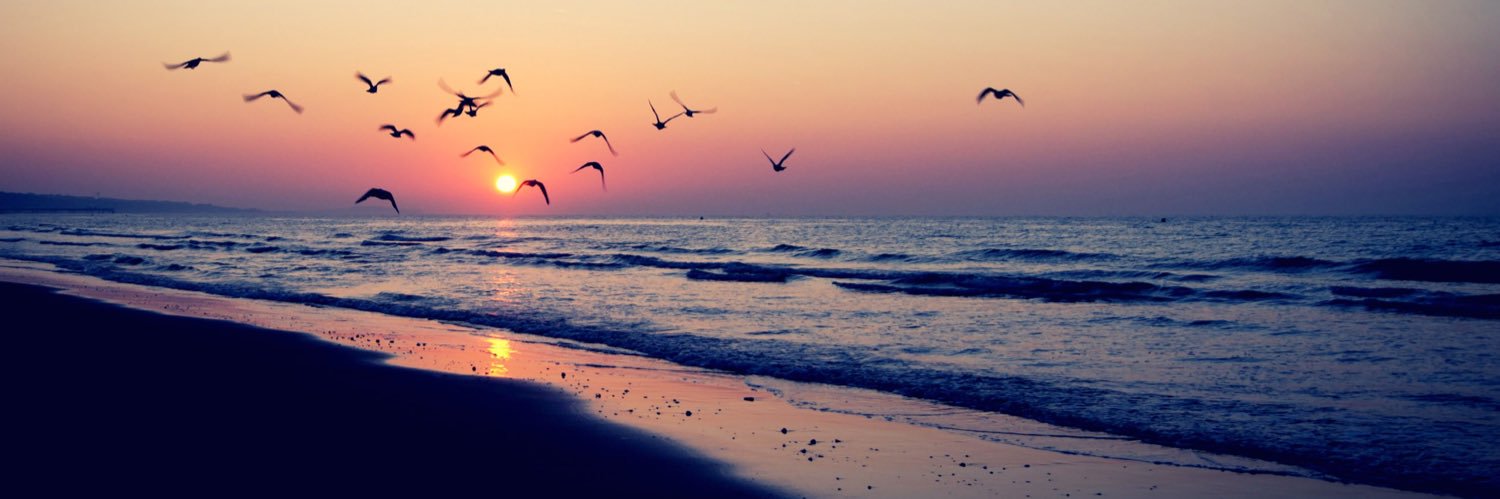 michelle_farren's profile banner image
