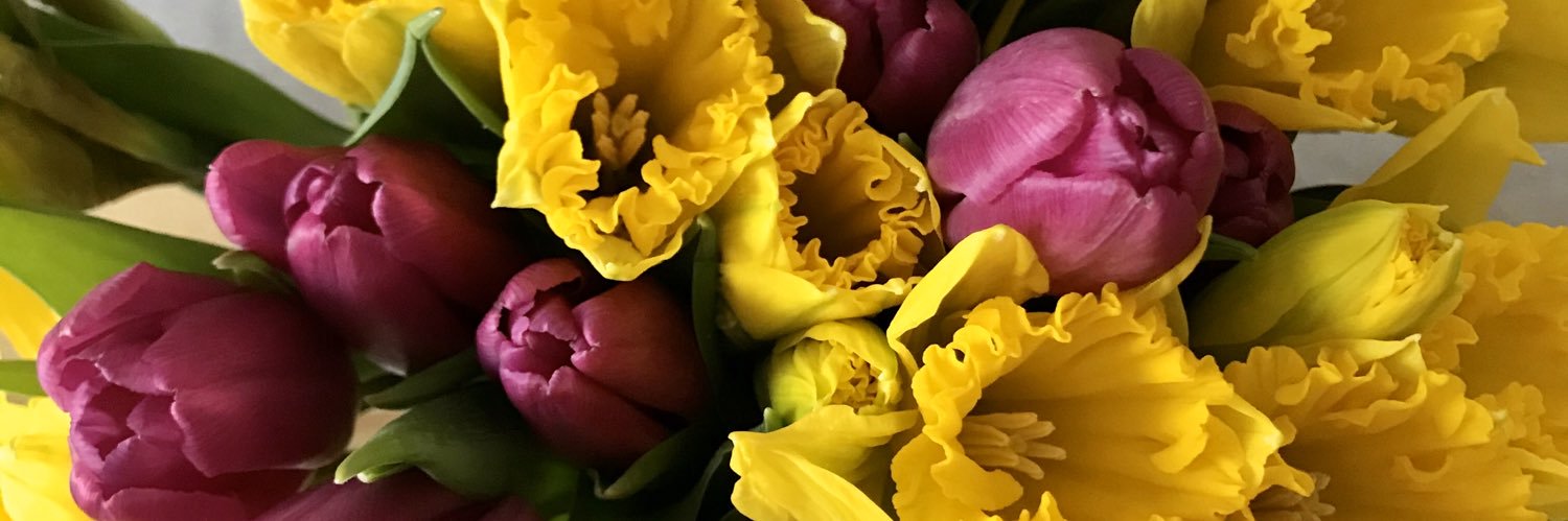 JessBlondy's profile banner image