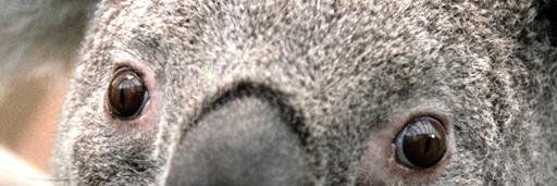 PAO_ua's profile banner image