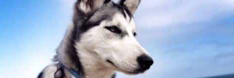 ihatefabrizio's profile banner image
