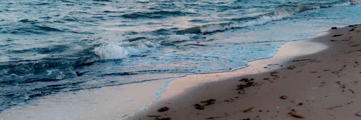 MorganThis's profile banner image