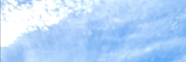 ardnxlt's profile banner image