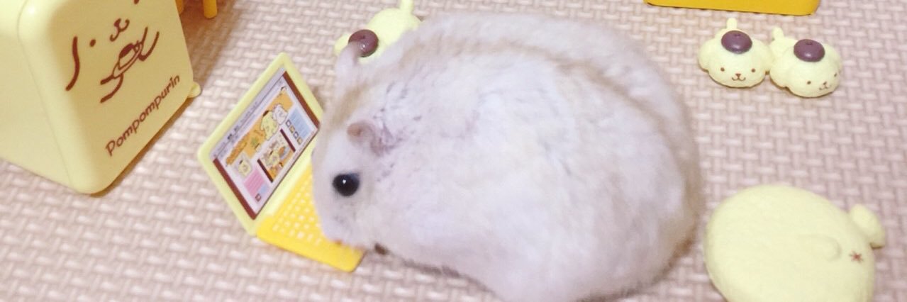 mkmr318's profile banner image