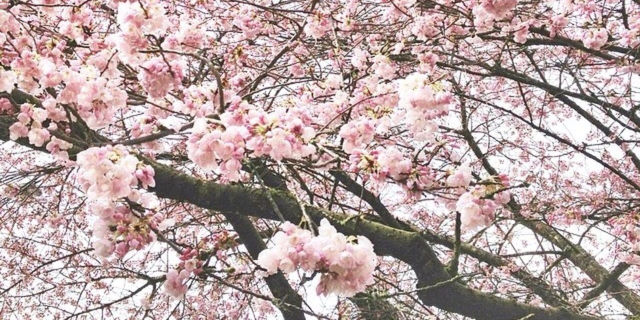 hellotammyyy's profile banner image