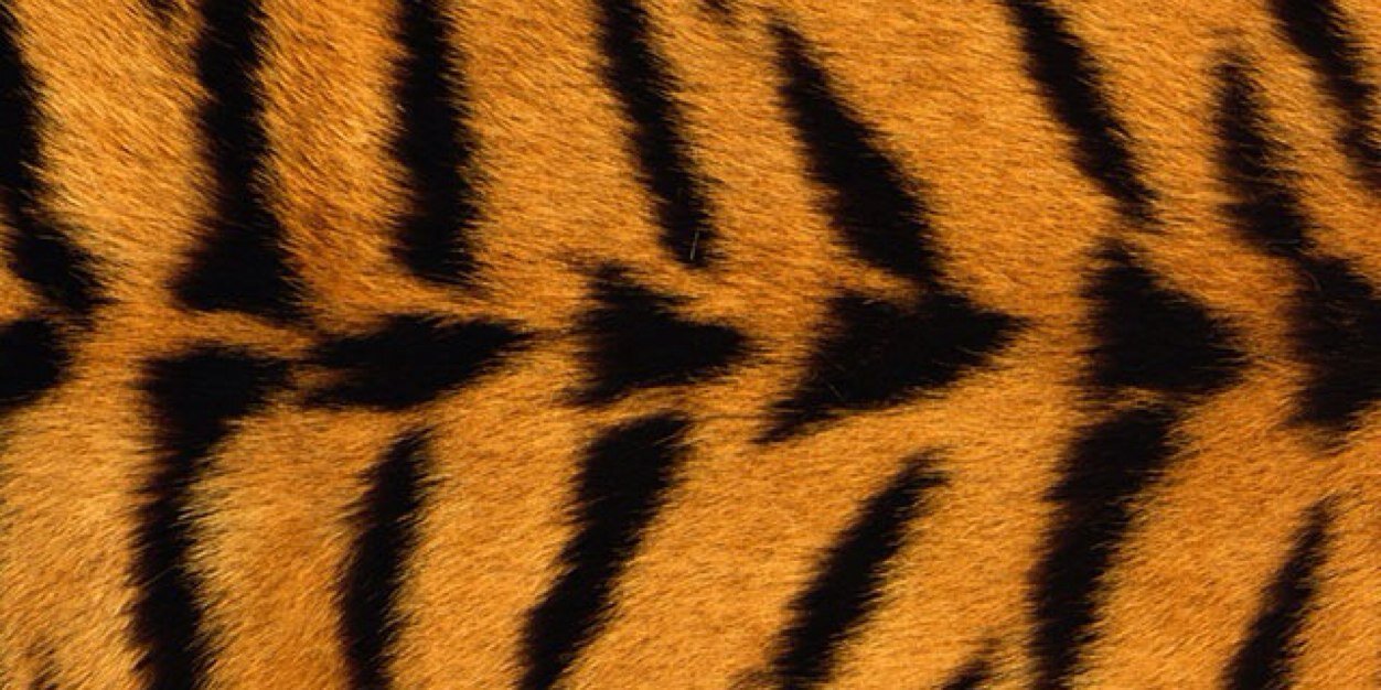 maltinosilva's profile banner image