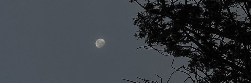 n9oh6's profile banner image