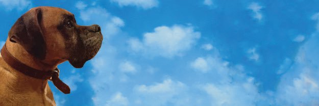 LMephAO's profile banner image