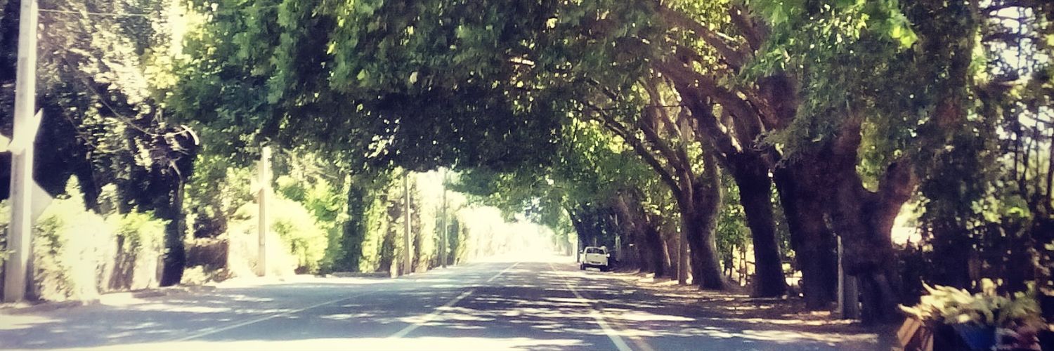 alexi_arias's profile banner image