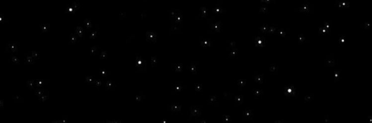 adeamelia_'s profile banner image