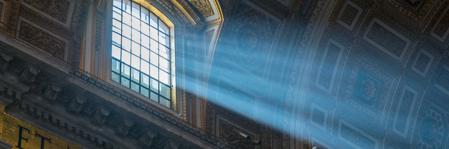 Dideivox's profile banner image