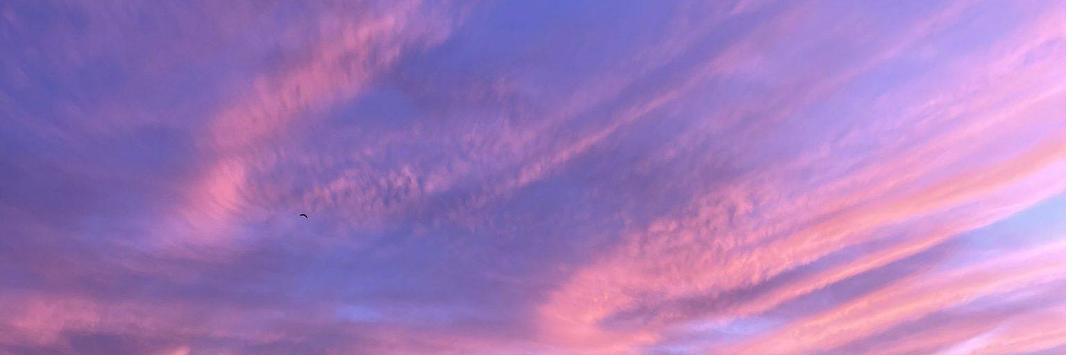 Flor_encia__'s profile banner image