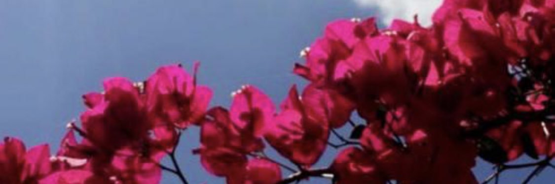 mh_64's profile banner image