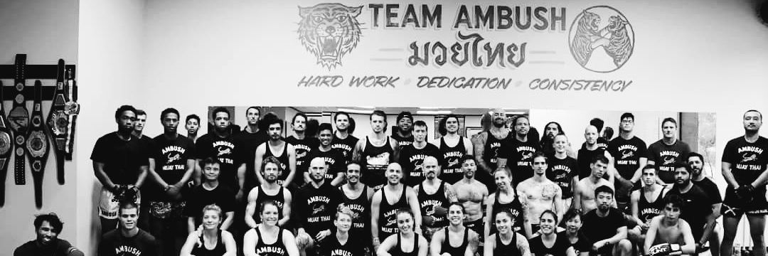Lambo_FPS's profile banner image