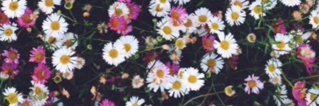 Memo_M93's profile banner image