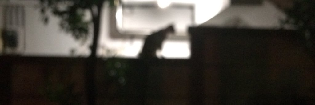 kato_one's profile banner image