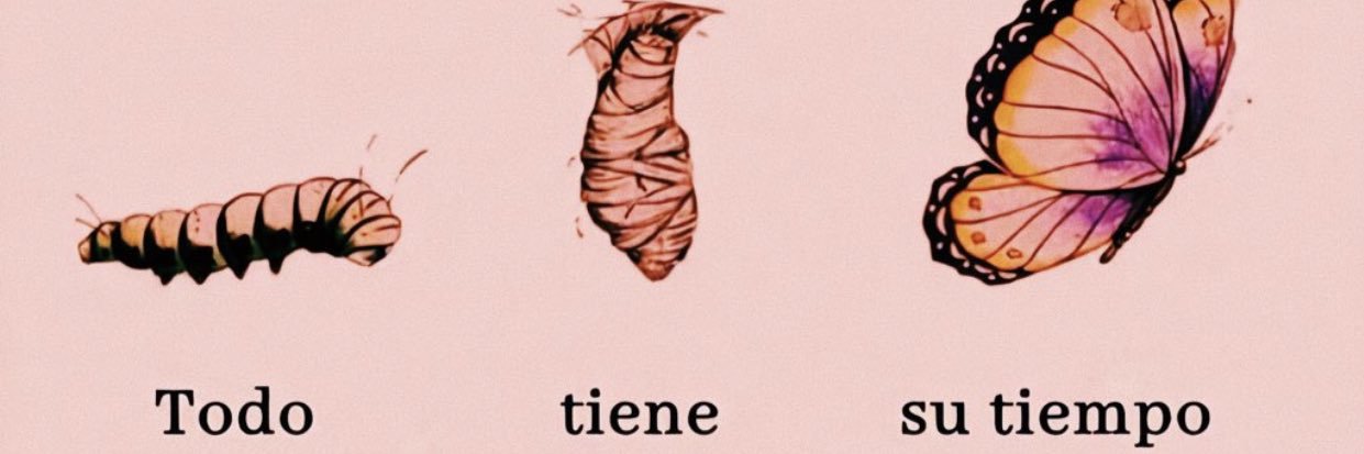 MariaFdez5's profile banner image