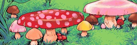 rachcupskey's profile banner image