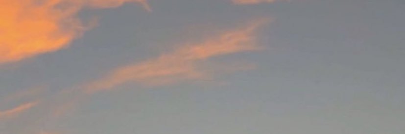 sleepingpeony's profile banner image
