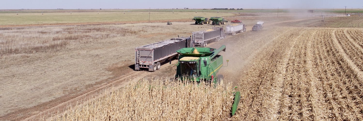 Casey McAnally banner