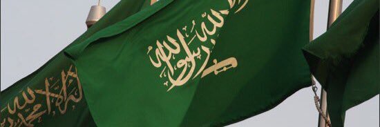 s3eed banner